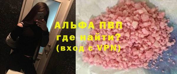 индика Гусь-Хрустальный