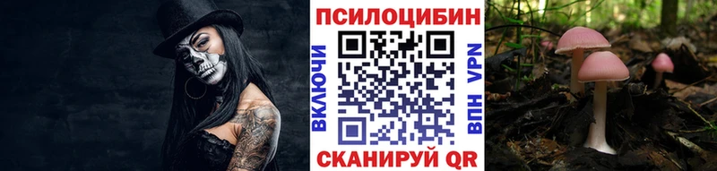 Псилоцибиновые грибы Cubensis  блэк спрут ССЫЛКА  Дигора  купить  сайты 